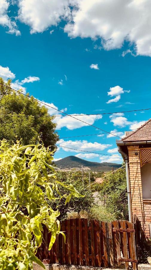 Ferienwohnung Henrietta Vendeghaz Domoszlo Exterior foto